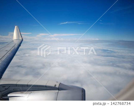飛行機の翼 飛行機の翼 142768734