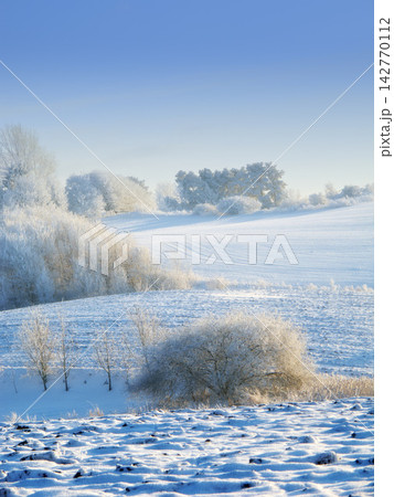Snow fall, countryside and trees with winter in landscape of Switzerland in skyline in nature, harmony or peace. Holiday, trip and travel for vacation as wallpaper, background or texture for postcard 142770112