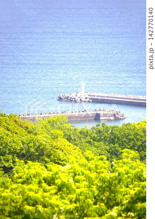 湘南平 142770140