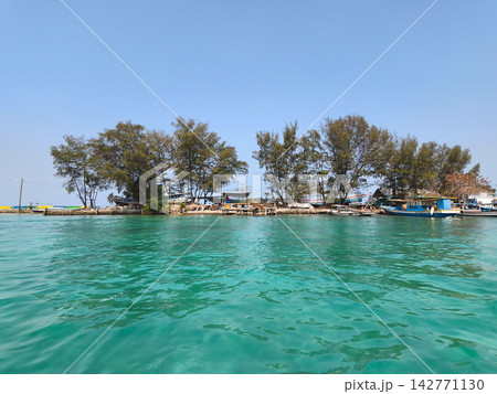 View of small tropical island with pine trees View of small tropical island with pine trees 142771130
