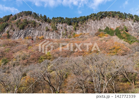 紅葉真っ盛りの奈良県曽爾村屏風岩公苑 紅葉真っ盛りの奈良県曽爾村屏風岩公苑 142772339