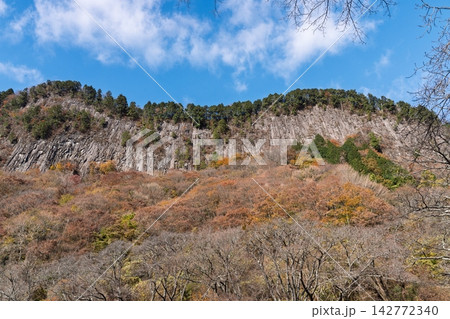 紅葉真っ盛りの奈良県曽爾村屏風岩公苑 紅葉真っ盛りの奈良県曽爾村屏風岩公苑 142772340