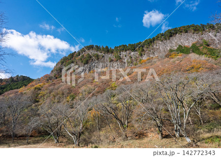 紅葉真っ盛りの奈良県曽爾村屏風岩公苑 紅葉真っ盛りの奈良県曽爾村屏風岩公苑 142772343
