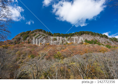 紅葉真っ盛りの奈良県曽爾村屏風岩公苑 紅葉真っ盛りの奈良県曽爾村屏風岩公苑 142772356
