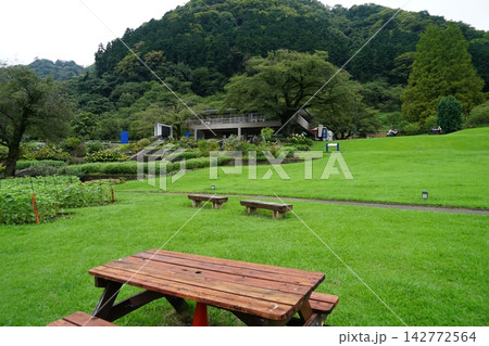 神奈川県相模原市緑区の津久井湖城山公園の花の苑地周辺の風景 神奈川県相模原市緑区の津久井湖城山公園の花の苑地周辺の風景 142772564