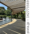 Fountains  in the city park in a walking area in summer. 142773569