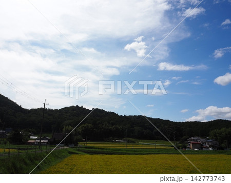 山の中の田んぼと青い空 142773743
