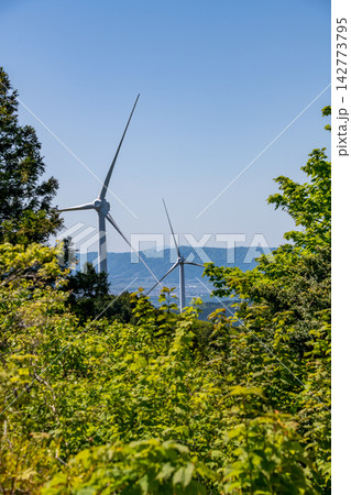 三重県　津市　青山高原　青空と風力発電の風車 142773795