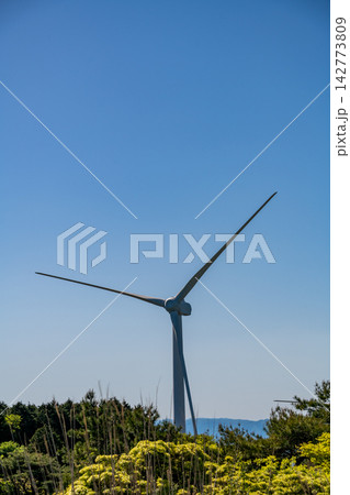 三重県　津市　青山高原　青空と風力発電の風車 142773809