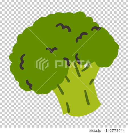 可愛的手繪西蘭花插圖 可愛的手繪西蘭花插圖 142773944