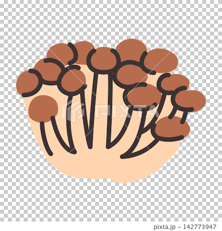 Cute hand-drawn illustration of shimeji mushrooms Cute hand-drawn illustration of shimeji mushrooms 142773947