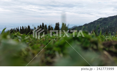 Lush green grass foreground with distant mountains and cloudy sky Lush green grass foreground with distant mountains and cloudy sky 142773999