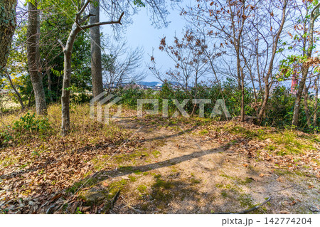 高松城水攻め史跡公園 春の風景 蛙ヶ鼻堰堤跡の上部1 岡山県岡山市北区 高松城水攻め史跡公園 春の風景 蛙ヶ鼻堰堤跡の上部1 岡山県岡山市北区 142774204