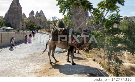 Cappadocia landscape Cappadocia landscape 142774310