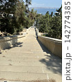 Wide concrete staircase leading through a green tree lined park pathway in summer. Stairs in the park. 142774385