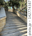 Wide concrete staircase leading through a green tree lined park pathway in summer. Stairs in the park. 142774387