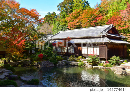 百済寺 紅葉の本坊庭園 百済寺 紅葉の本坊庭園 142774614