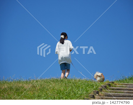 真夏の観光名所浜名湖のサービスエリアの公園でポメラニアンの子犬と遊んでいる女子中学生の姿 142774790