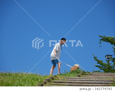 真夏の観光名所浜名湖のサービスエリアの公園でポメラニアンの子犬と遊んでいる女子中学生の姿 142774791