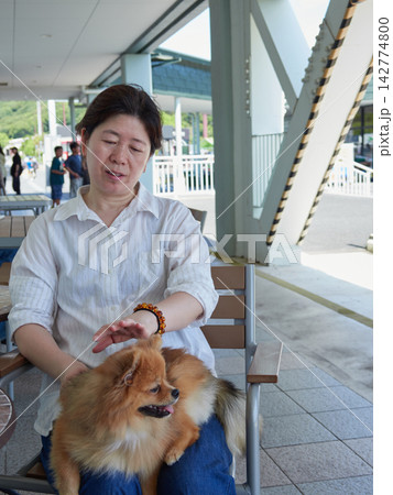 夏の高速道路のサービスエリアで可愛いポメラニアンの子犬を抱っこする中年女性の姿 142774800