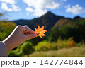 秋の空に映える紅葉 142774844