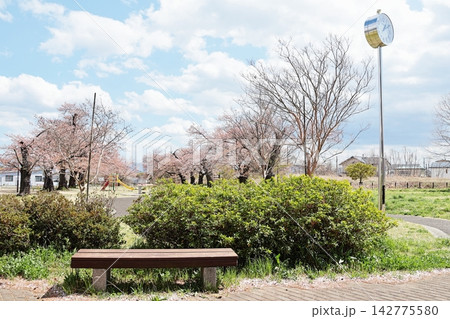 福島市飯坂町の花見の名所 乙和公園(花桃の公園) 福島市飯坂町の花見の名所 乙和公園(花桃の公園) 142775580