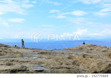 江の島　稚児ケ淵 142775669