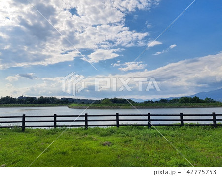 青空と豊かな緑の芝生が広がる牧歌的な湖畔の風景 142775753