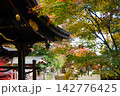 モミジに包まれたお寺 142776425