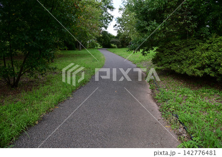 緑に囲まれた道 緑に囲まれた道 142776481
