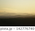 市民薄明 142776740