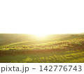 日暮れの丘 142776743