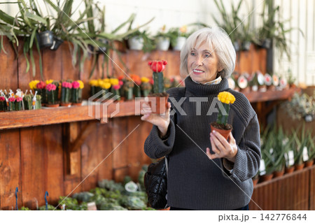 Senior woman buy potted flowering cactus plant in shop 142776844
