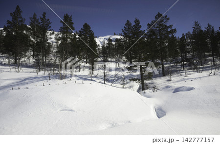 winter landscape in the forest 142777157