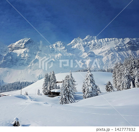 winter mountains in the snow winter mountains in the snow 142777832