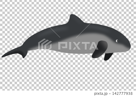 vector illustration of a blue whale vector illustration of a blue whale 142777938