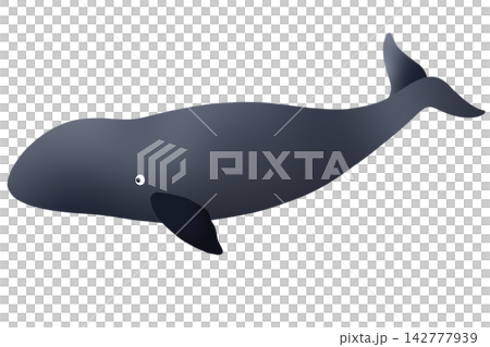 vector illustration of a blue whale 142777939