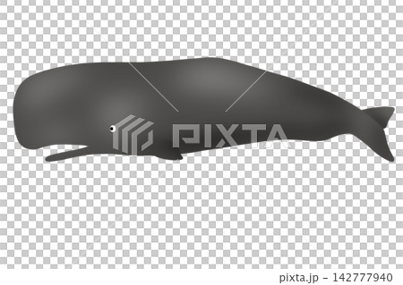 Whale Whale 142777940