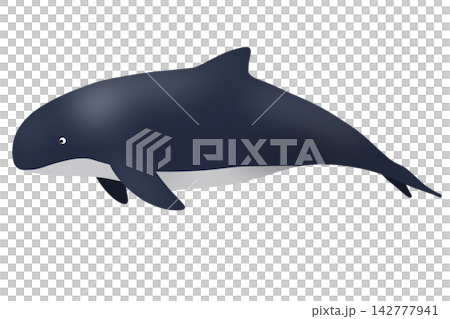 vector illustration of a blue whale vector illustration of a blue whale 142777941