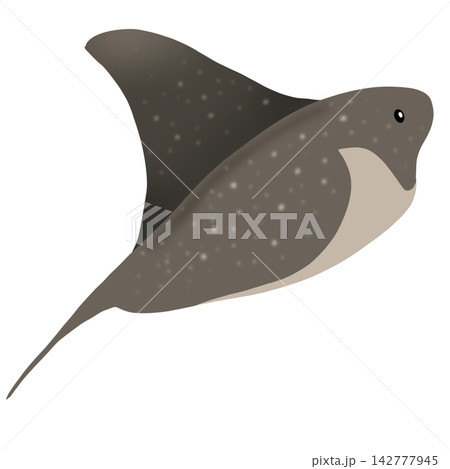 ray ray 142777945