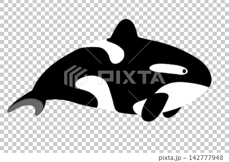 black silhouette of dolphin black silhouette of dolphin 142777948