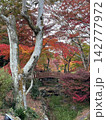 紅葉のある風景 142777972