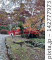 紅葉と赤い橋 142777973