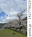 青空に映える満開の桜 142778029