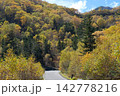乗鞍エコーライン沿いに広がるダケカンバの黄葉樹林と高山へと続く道路 142778216