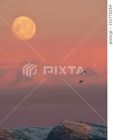 full moon over the sea full moon over the sea 142778264