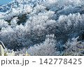 山肌を覆う幾何学的な霧氷の林と青白い光影を描く冬の山岳テクスチャ 142778425