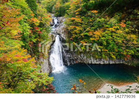 法体の滝 秋の絶景 秋田県 法体の滝 秋の絶景 秋田県 142779036
