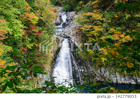 法体の滝 秋 展望台からの絶景 秋田県 法体の滝 秋 展望台からの絶景 秋田県 142779053