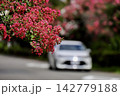 赤いサルスベリの通りを走る車 142779188